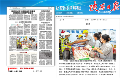 PG国际西北集团珑樾府项目高温慰问——《陕西日报》